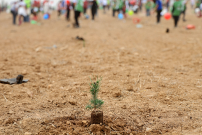 Rektör Prof. Dr. Adnan Sözen'den uyarı: "Toprak analizi yapılıp, suya dayanıklı bitkiler dikilmeli"