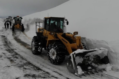 Erzincan Beyaza Büründü