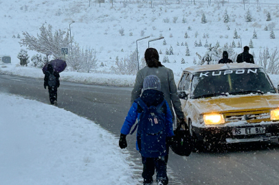 Yoğun kar yağışı ve sis, hayatı olumsuz etkiledi