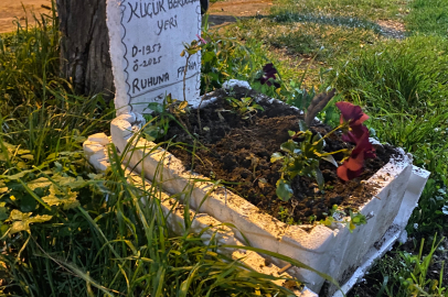 Bursalı taksiciler duraklarının yanına mini mezarlık yaparak Berduşun anısını yaşatıyorlar