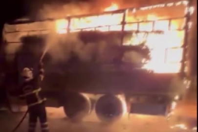 Plastik Halı Yüklü Kamyon Alevlere Teslim Oldu