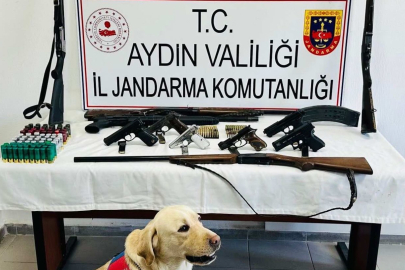 Aydın'da operasyon: Evden adeta cephanelik çıktı