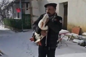 Erzincan'da beslediği kazından helallik aldı