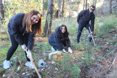 Kazdağları Bal Ormanı Projesine Yoğun İlgi