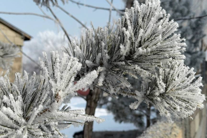 Ağrı'da soğuk hava yaşamı olumsuz etkiliyor