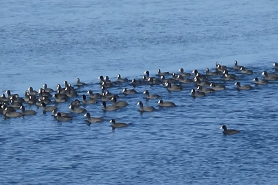Burası Antarktika değil, Doğu Anadolu
