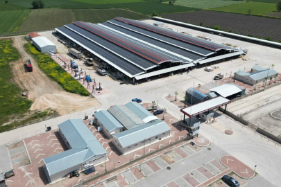 Başkan Taban: Belediyenin Enerji İhtiyacı Güneşten Karşılanıyor