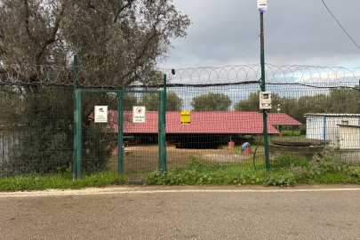 "Çoban İsa" figürünün keşfedildiği lahit tarlası gece gündüz korunuyor