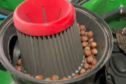 Off-Road aracının hava filtresine giren sincap 1 kiloya yakın fındığı burada depoladı