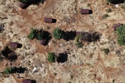 Sokak Hayvanlarına Yardım Eli