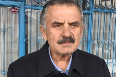 "Hamsi göçünü erken tamamladı; Bundan sonra Gürcistan ve Abhazya'da avlanacak"