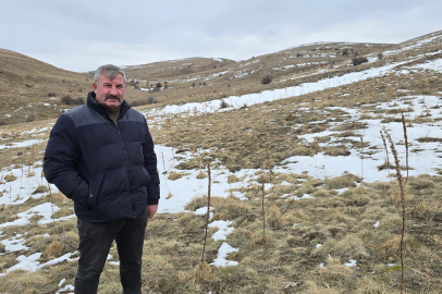 "Masa başında memur olsaydım bu kadar para kazanamazdım"
