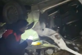 Köpekten Kaçmak İsterken Kaza Yaptı