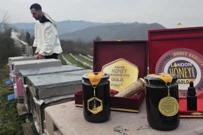 Zonguldak kestane balı Londra ve Paris'ten altınla döndü