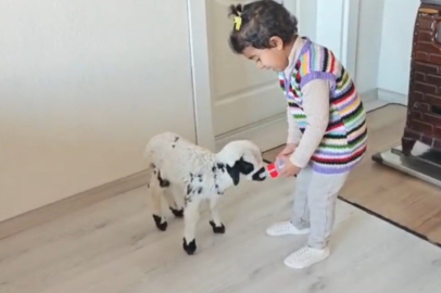 3 yaşındaki Ezo ile ‘Pırıl’ın şefkat dolu bağı