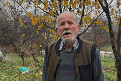 Zirai İlaçlar Arıları Vurdu: Bursa'da Milyonlarca Arı Telef Oldu