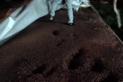 Sakarya'da durdurulan tırda 7 milyon 500 bin dolu makaron ele geçirildi