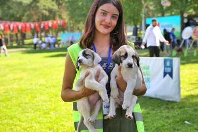 Bursa Büyükşehir Belediyesi Patili Dostları Unutmadı