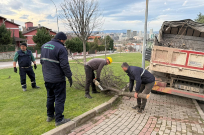 Bursa’da şiddetli lodos hayatı olumsuz etkiledi