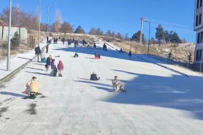 Başıboş sokak köpekleri, vatandaşlar arasında tedirginliğe neden oluyor