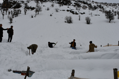 Çığ altında kalan bal arıları, köylüler tarafından kurtarıldı