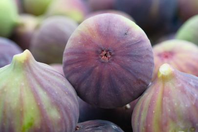 Kraliçe incirinin ihracatında kilogram başına 1 dolarlık değer artışı oldu