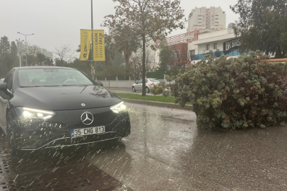 İzmir fırtınaya teslim! Ağaçlar devrildi, araçlar zarar gördü