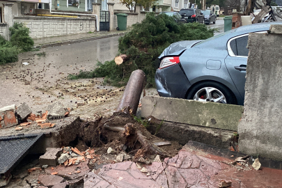 12 metrelik ağaç park halindeki otomobilin üzerine düştü
