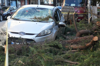 Samsun'da gece fırtınası: Park halindeki otomobile ağaç parçası düştü