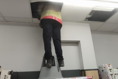 Kedinin Yardımına İtfaiye Ekipleri Yetişti