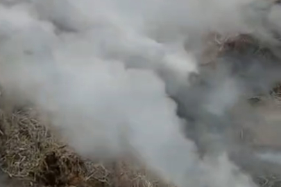 Adana'da Korkutan Yangın: Samanlık Küle Döndü