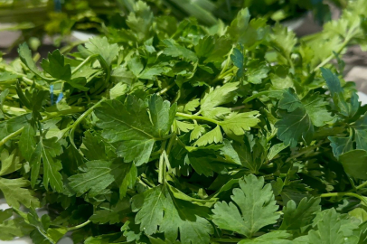 Grip Vakalarına Dikkat!