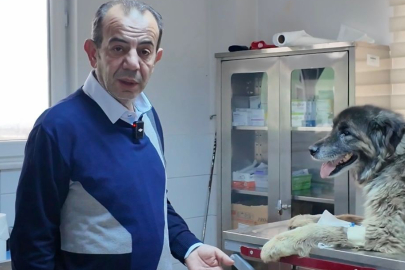 Tanju Özcan:  "İnsanlık adına affetmeyeceğiz"