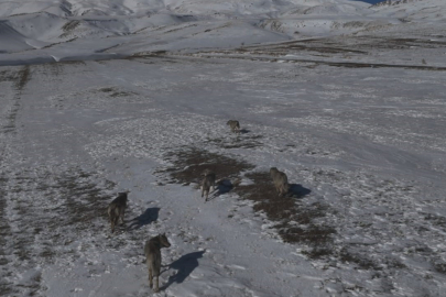 Kar Yağışı Çocukları Mutlu Etti