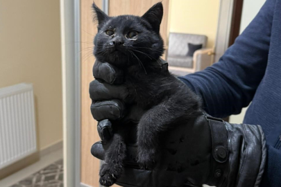 6 Saatlik Operasyon...