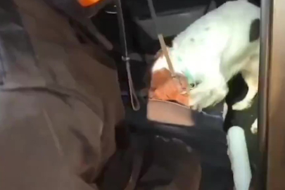 Denizli'de Uyuşturucu Operasyonu