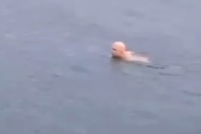 Vatandaşın denize girerek yüzmesi, görenleri hayrete düşürdü