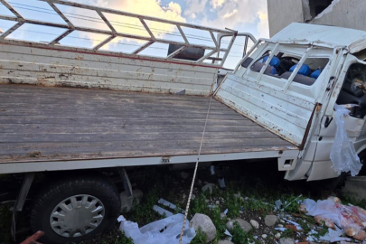 Kontrolden çıkan kamyonet, önce ağaçlara ardından da bir eve çarptı