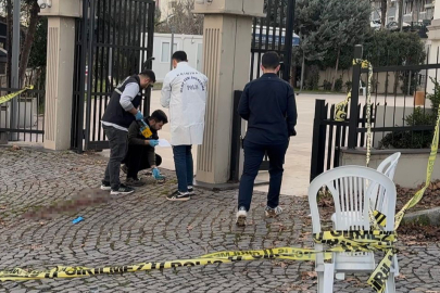 Kardeşini silahla vurarak öldürdü