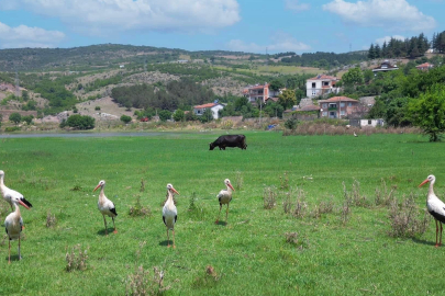 Hamzabey önemli bir cazibe merkezi olacak!