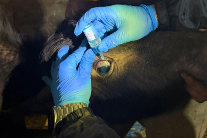 Sıkı Aşı Programı!