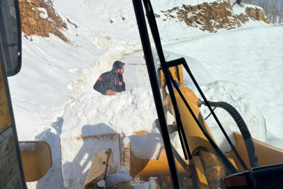 Bingöl'de ekipler karbonmonoksit gazından zehirlenen şahıs için seferber oldu