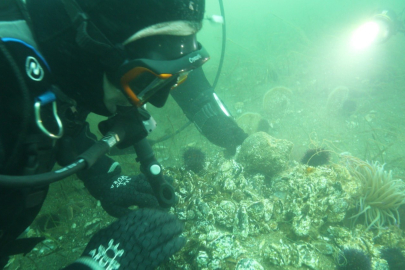 Marmara Denizi'ne kıyı kentlerin Belediye Başkanlarına dalış çağrı