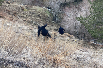 Böyle vahşet görülmedi