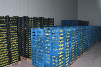 Kestel İlçesine 400 Milyon Liralık Dev Yatırım!