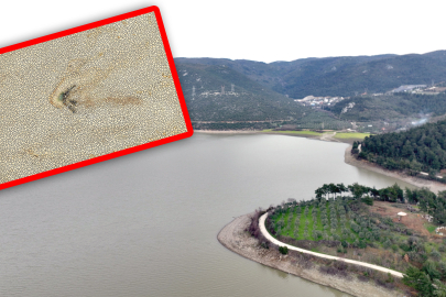 Çöle dönen Gölbaşı Göleti, yeniden hayat buldu