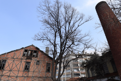 Mozaikler cam galerilerde sergilenecek!