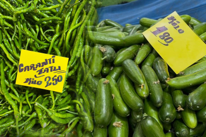 Sivri biber ve salatalığın ateşi yükseldi