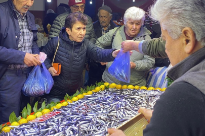 Hamsiye Yoğun İlgi!