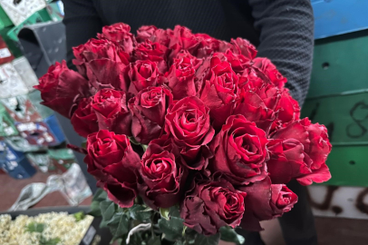 Kırmızı gülü yağış vurdu